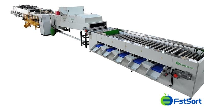 images/1730802245163Línea de procesamiento de clasificación de cítricos.jpg